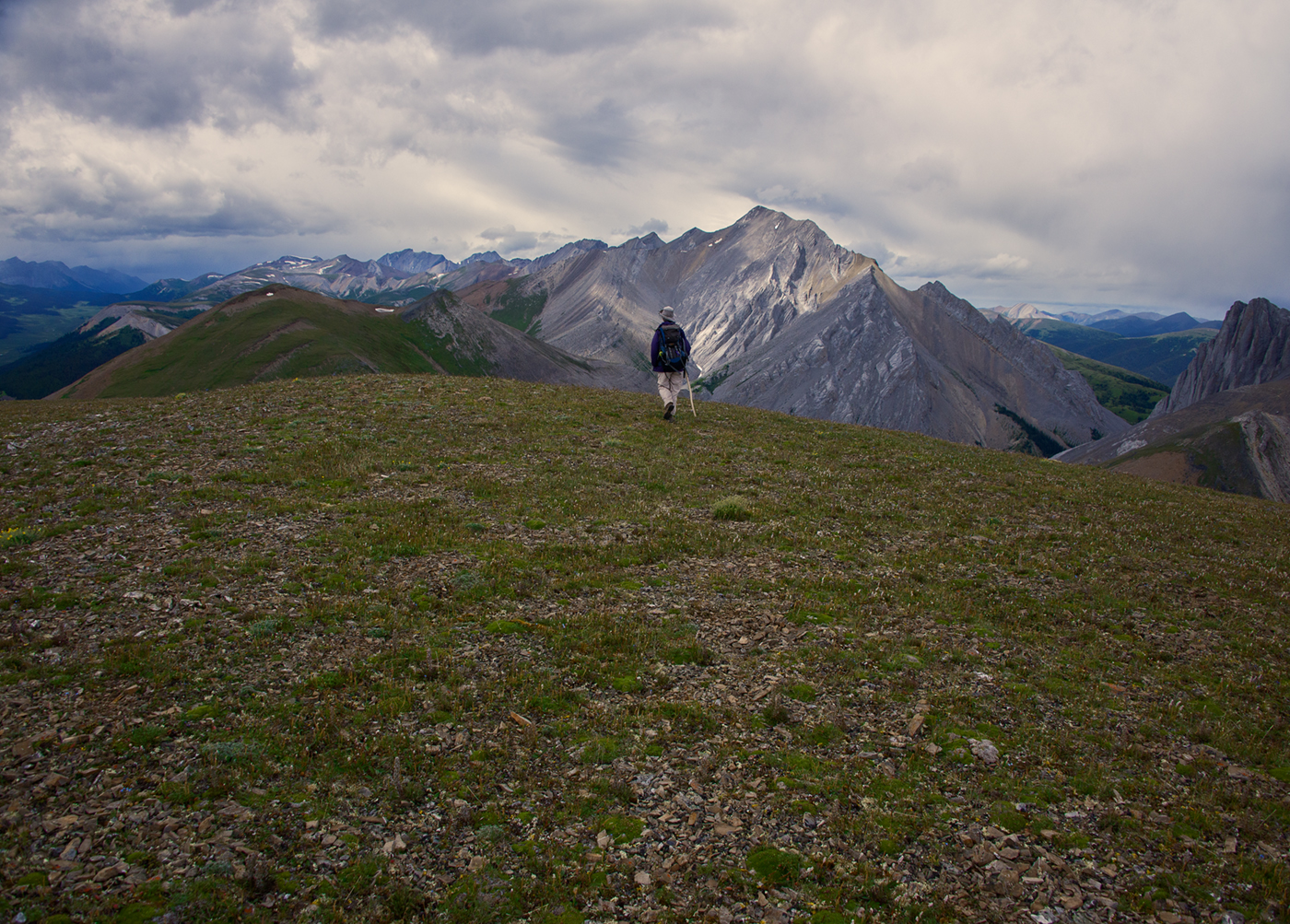 Willmore Wilderness Park, Rocky Mountains, Alberta, Canada